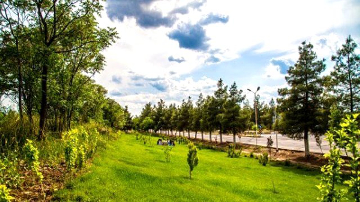 Peyzaj Çalışmaları Göz Kamaştırıyor