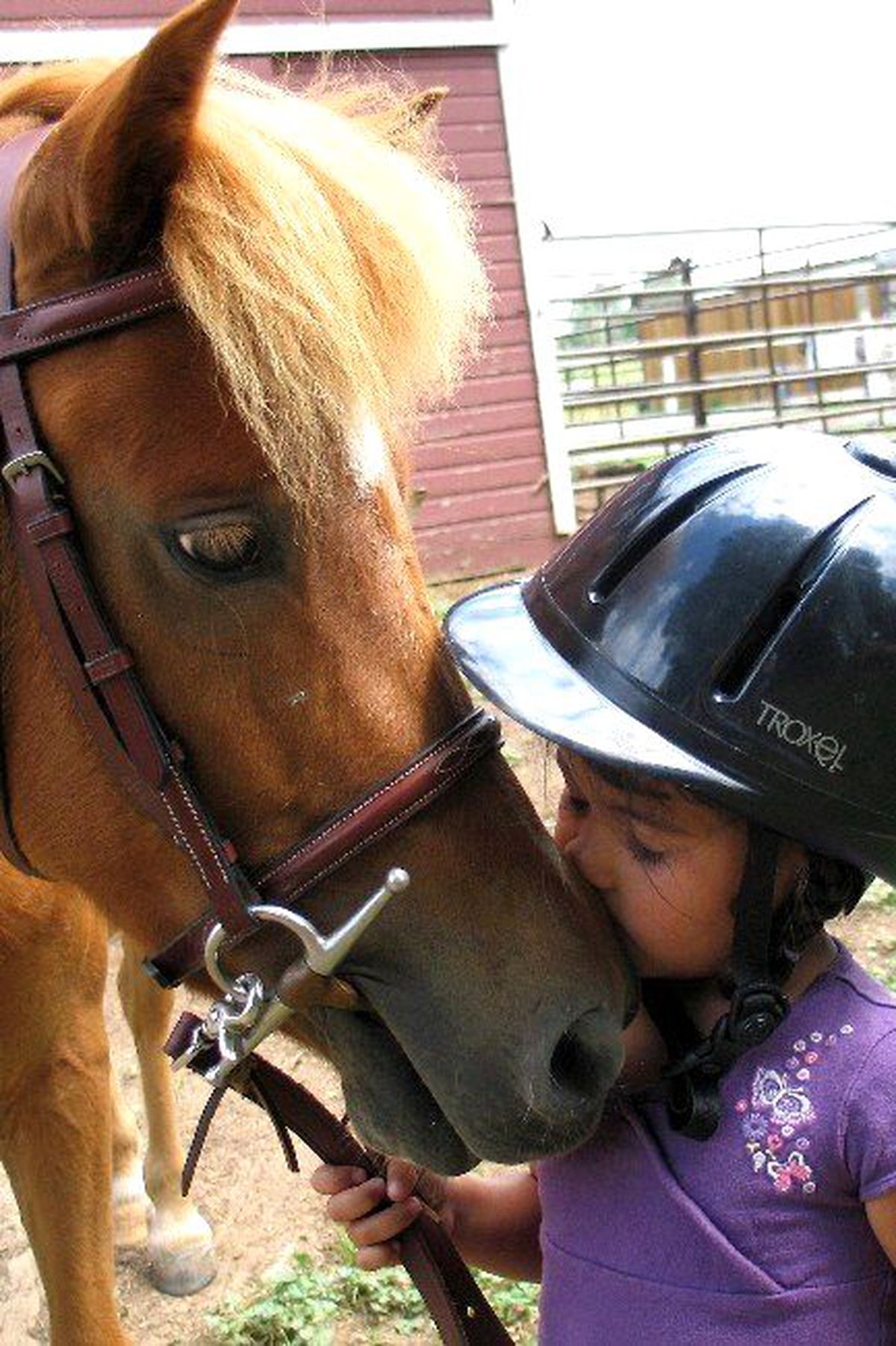Çankaya Belediyesi\'nden \'Pony Park\'