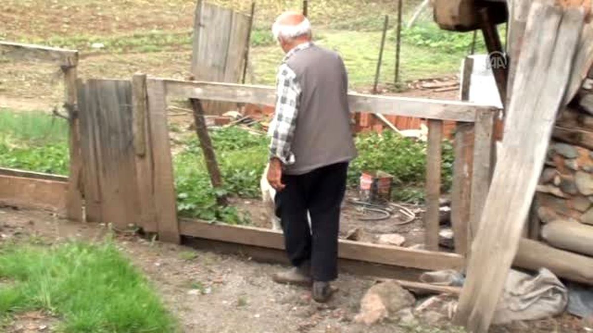 Şekerci Bayram' Arkadaşının Başbakan Olmasının Gururunu Yaşıyor - Kastamonu