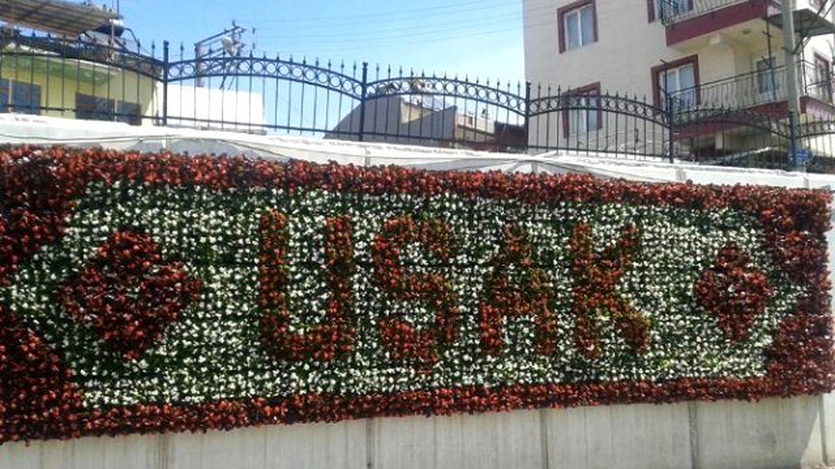 Uşak\'ın Yaz Çiçekleri Dikiliyor