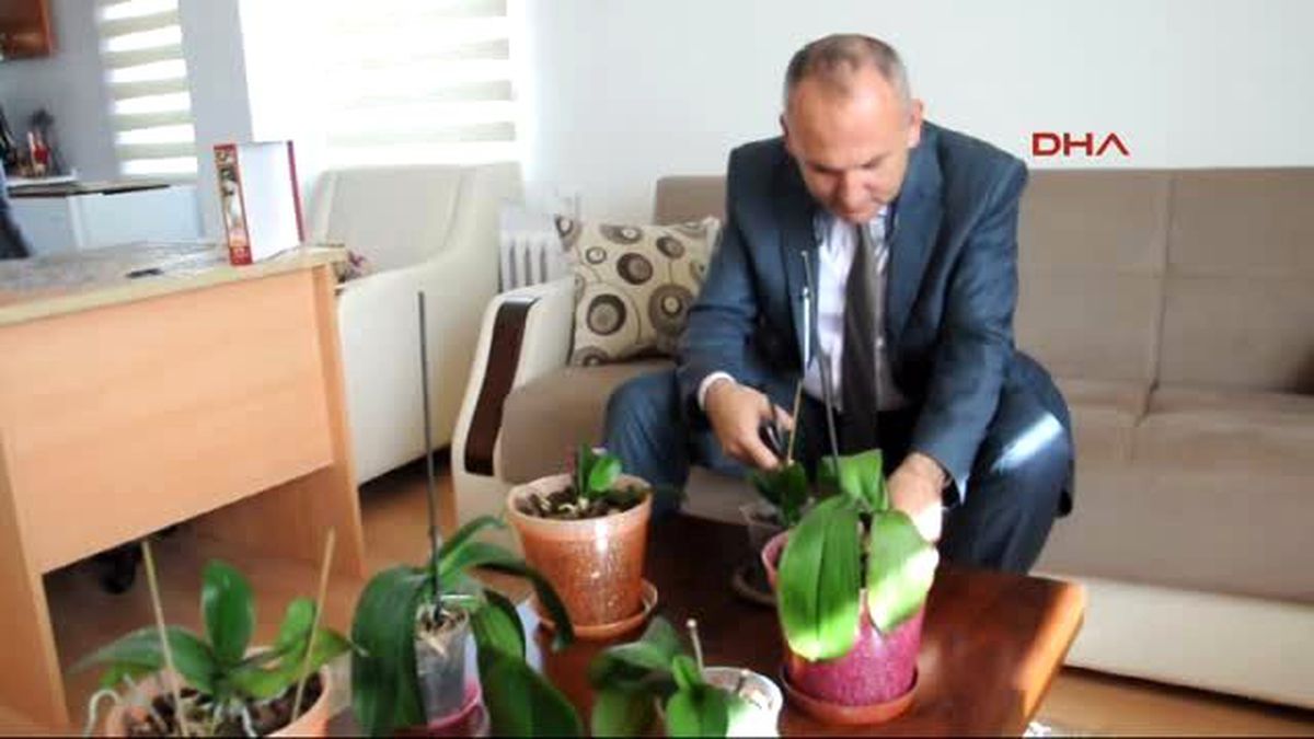 Didim Kaymakamın Orkide Merakı