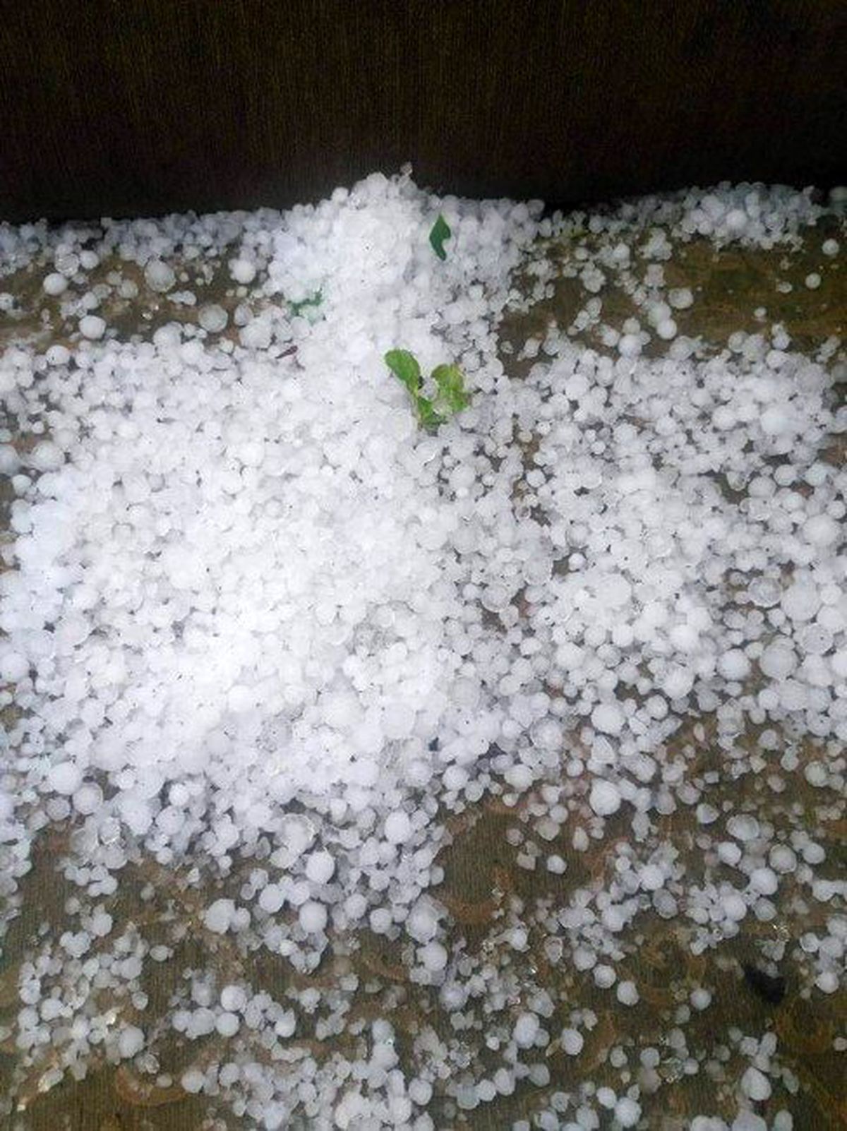 Osmaneli Belediyesinden Çiftçilere \'Geçmiş Olsun\' Mesajı