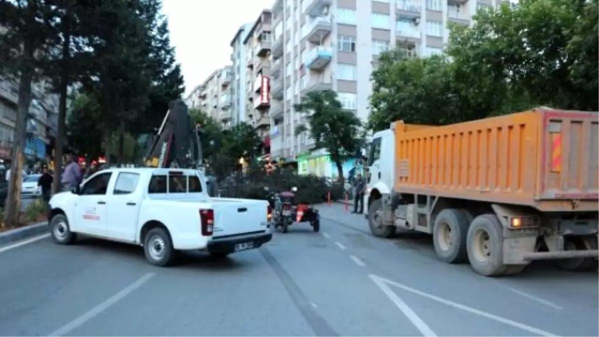 Kahramanmaraş\'ta, Çam Ağacı Yola Devrildi