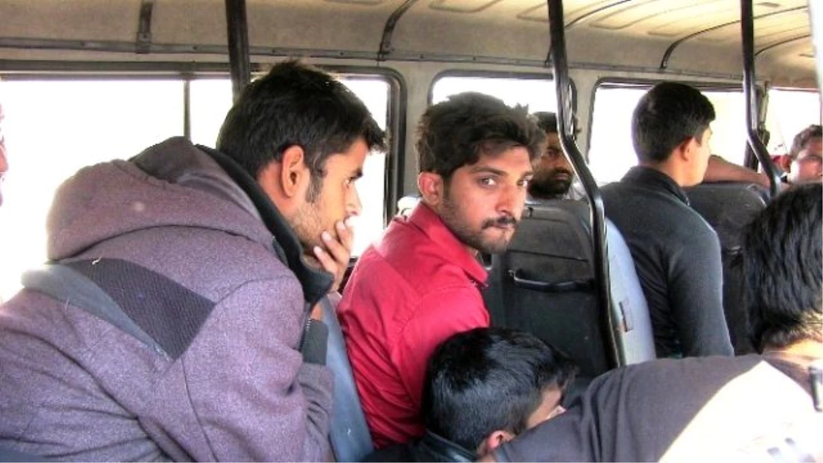 Muğla\'da 13 Mülteci Yakalandı