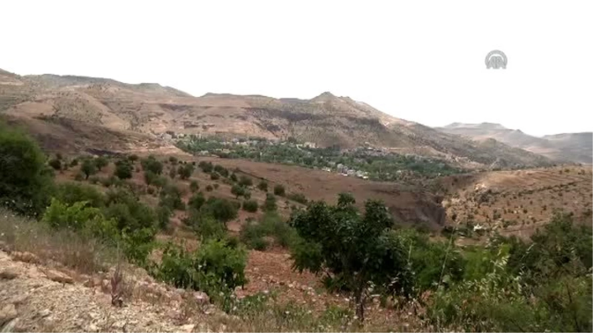 PKK\'lılar Silahla Vurdukları Muhtarı Aracında Yaktı - Olay Yeri