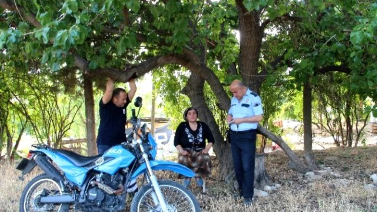 Yaşlı Adam Zeytin Bahçesinde Çıkan Yangında Öldü