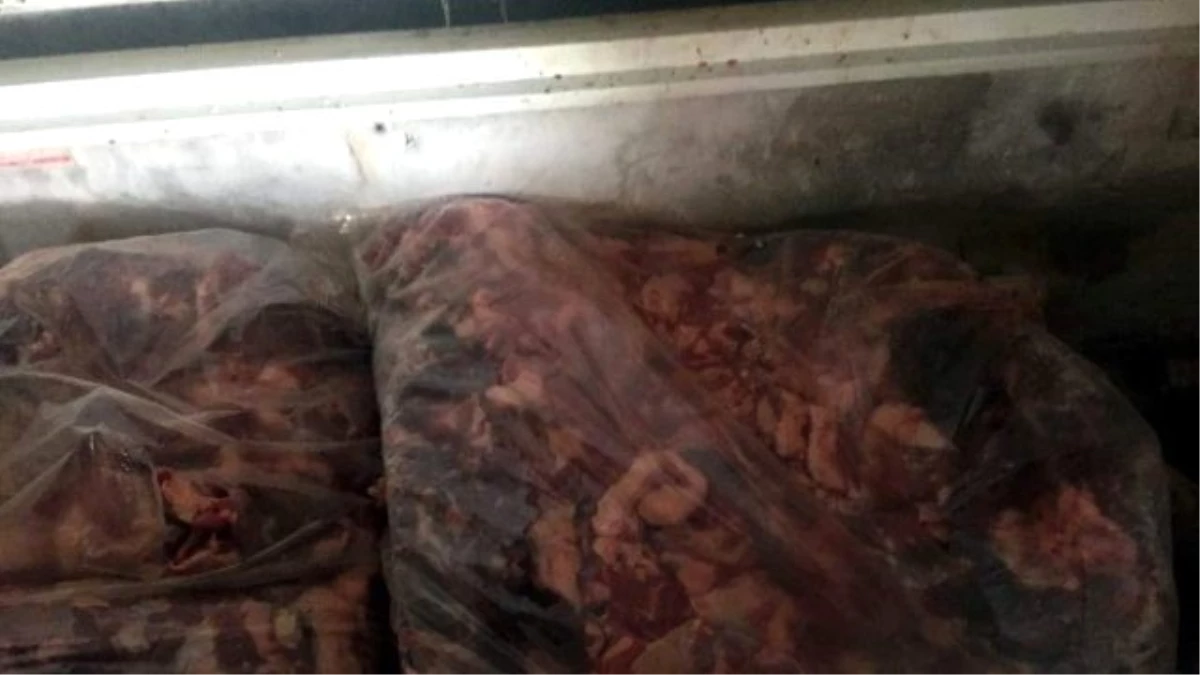 5 Ton Kaçak Domuz Eti Ele Geçirildi