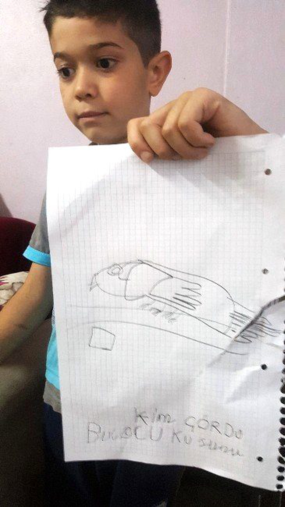Kuşu Kaybolan Çocuk, Kuşunu Bulana 5 TL Verecek