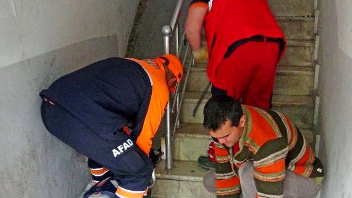 Merdiven Boşluğunda Mahsur Kalan Kediyi Afad Ekipleri Kurtardı