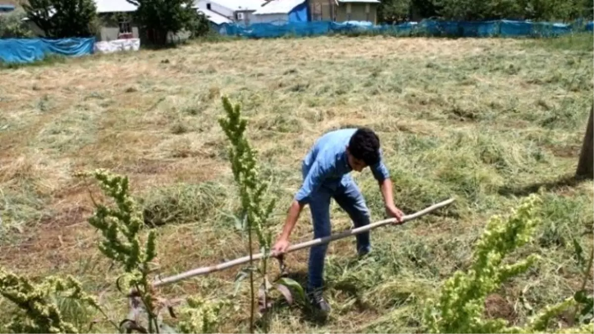 Beytüşşebaplı Vatandaşları Yaz Gelmeden Kış Telaşı Sardı