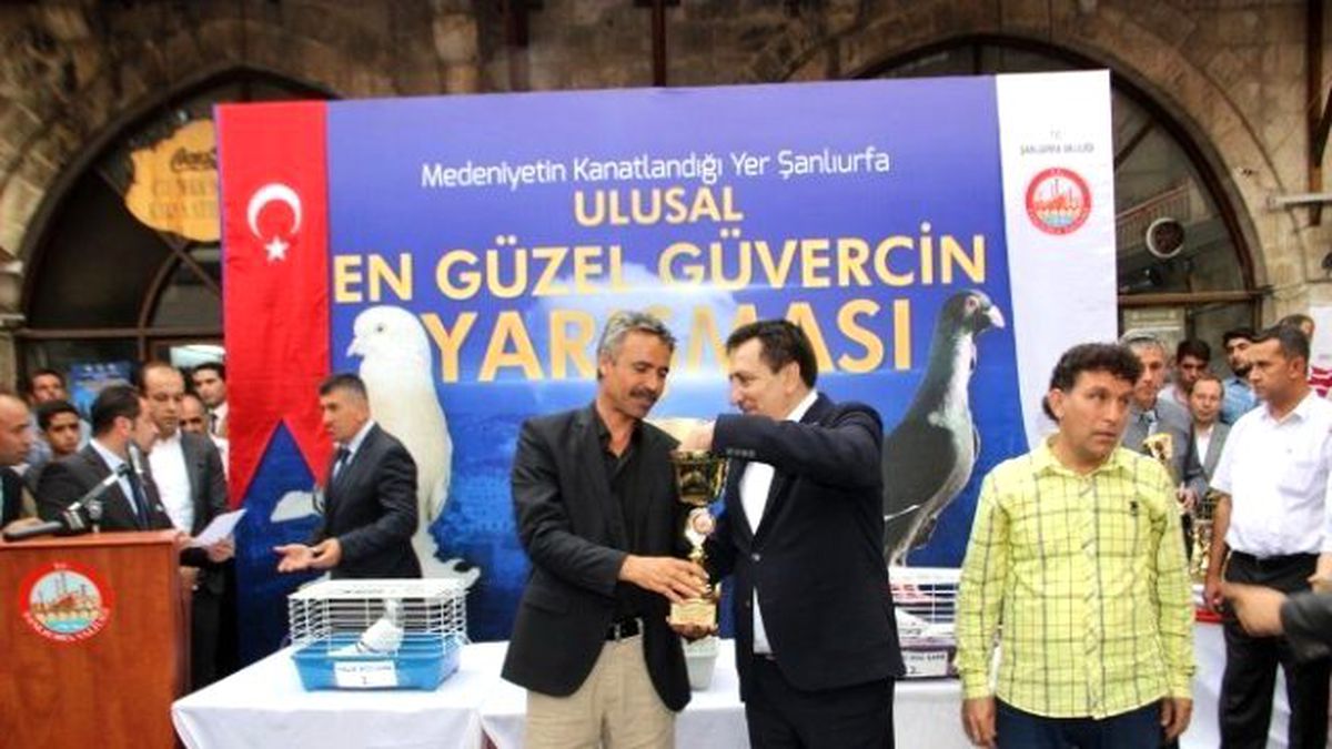 En Güzel Güvercinler Seçildi