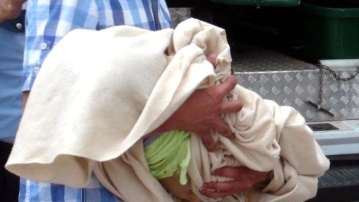 Gaziantep\'te 12\'nci Kattan Düşen Bebek Öldü
