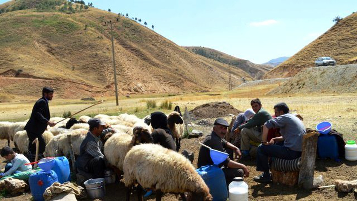 "Özel Güvenlik Alanları" Hayvancılığa Darbe Vurur