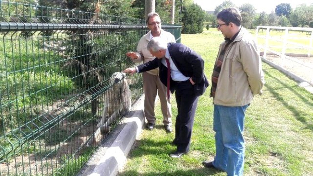 Rektör Gündoğan, Üniversitede Yaralanan Köpeği Ziyaret Etti
