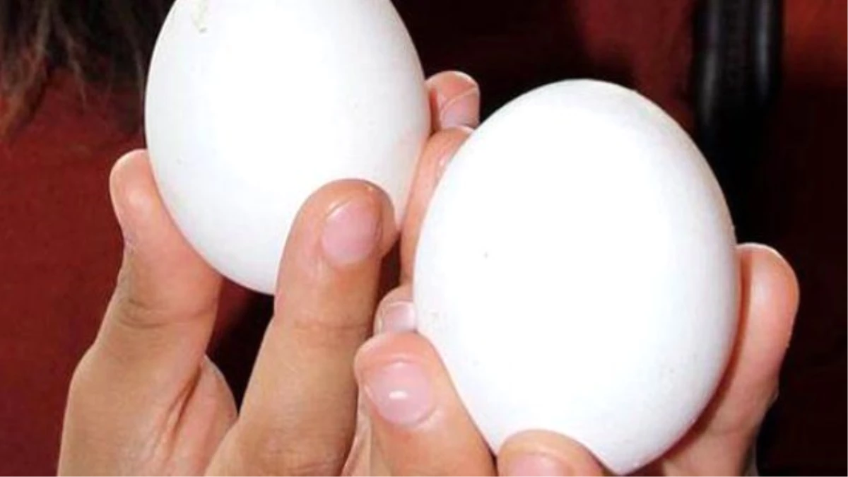 YUM-BİR Başkanı: Pisliğe Bulanmış Yumurtayı \'Köy Yumurtası\' Diye Satıyorlar