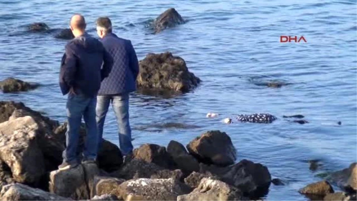 Zonguldak Ereğli\'de Denizde Kadın Cesedi Bulundu
