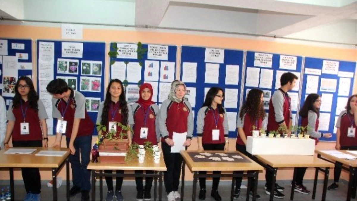 Bilecik Refik Arslan Öztürk Fen Lisesi\'nde 4006 Bilim Fuarı Açıldı