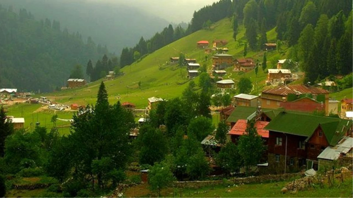 Karadeniz'in Zengin Florası Hastalara Şifa Olacak