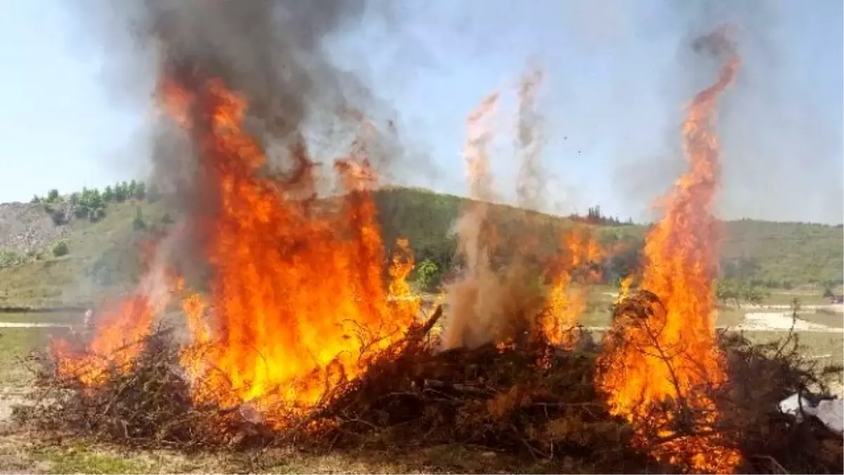 Orman Yangını Tatbikatı Gerçeği Aratmadı