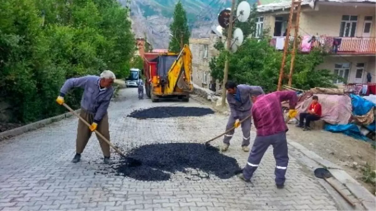 Hakkari\'de Bozulan Yollar Onarılıyor