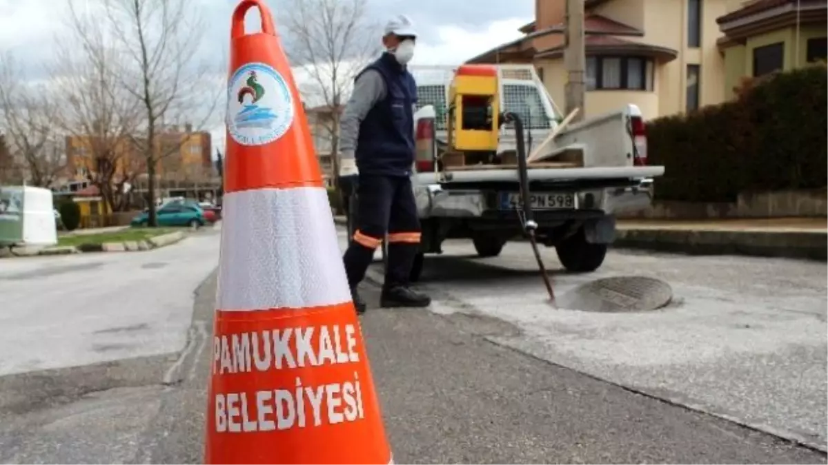 Pamukkale\'de Haşereyle Etkin Mücadele Sürüyor