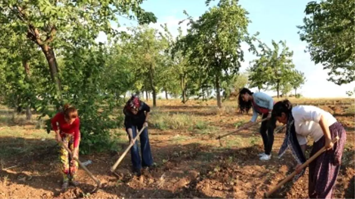 Şiddet Mağduru Kadınlar İçin \'Kadın Bostanı\'