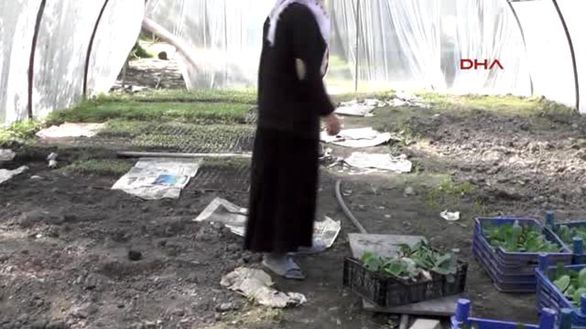 Muş Toprağın Bereketiyle Aile Bütçesine Katkı Sağlıyor
