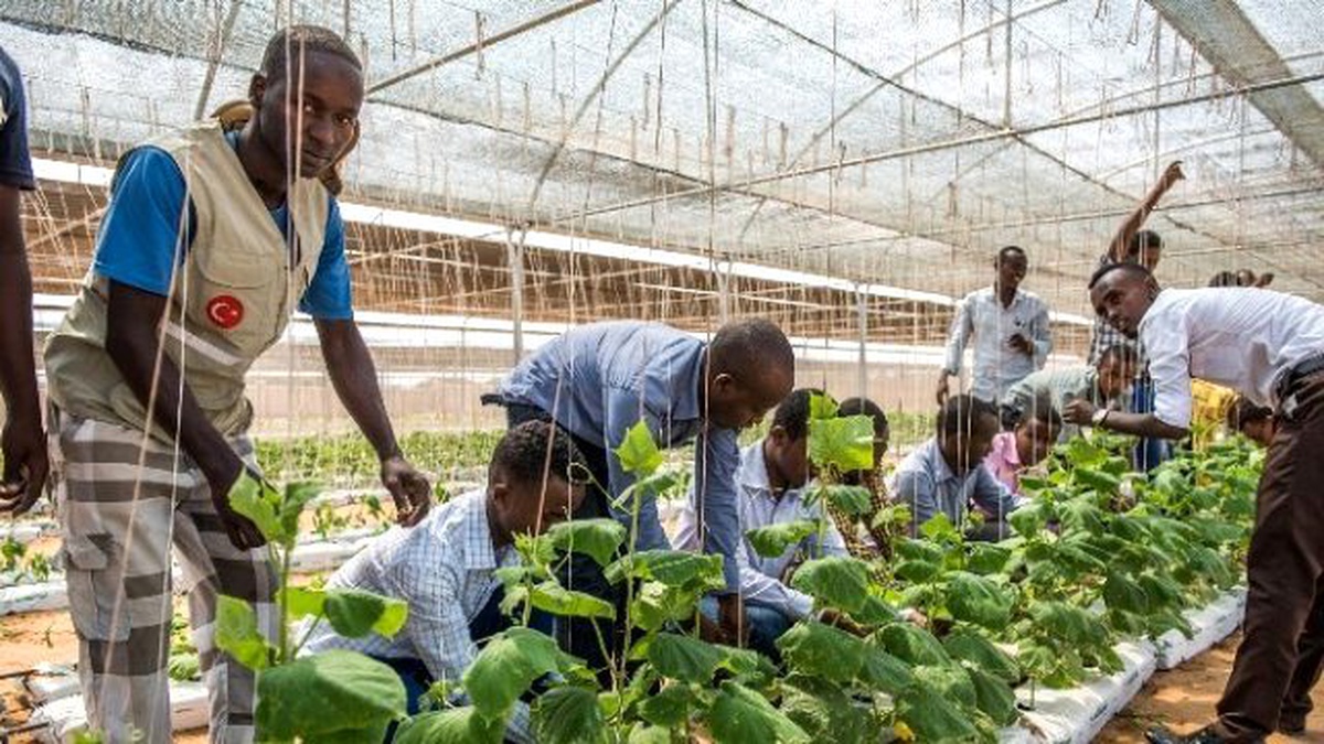 Tika\'dan Somali Anadolu Ziraat Fakültesine Kapasite Desteği