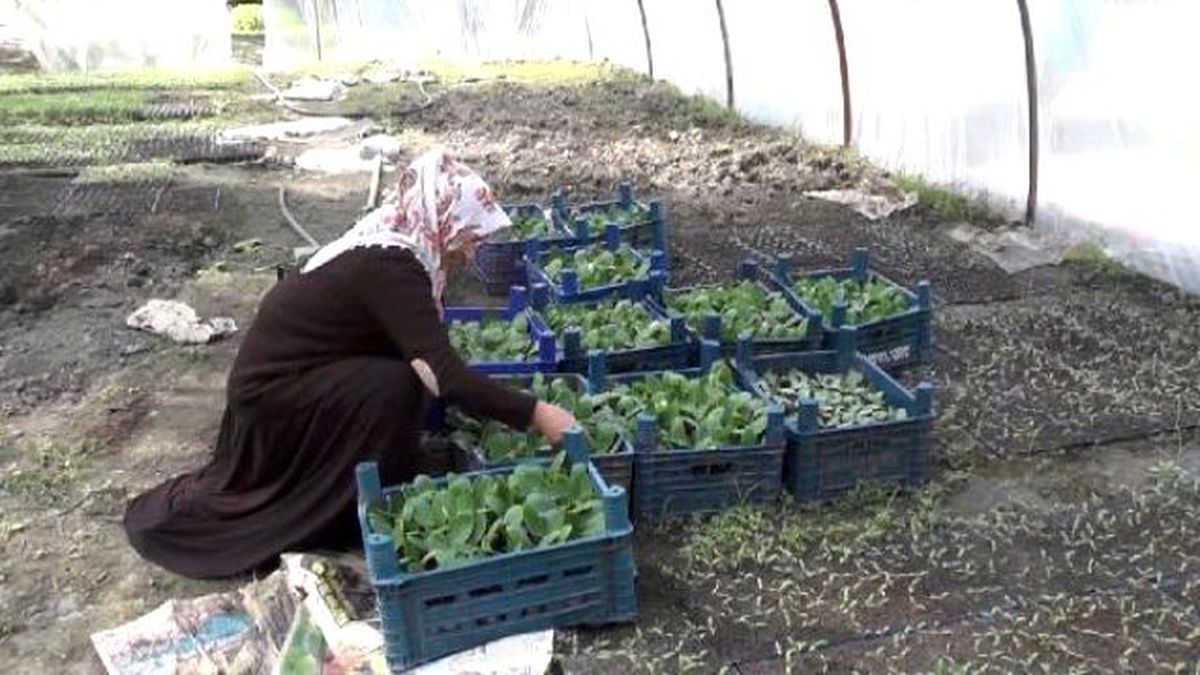 Toprağın Bereketiyle Aile Bütçesine Katkı Sağlıyor