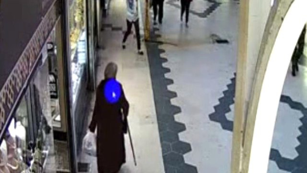 78 Yaşındaki Kadının Çantasını Gasp Eden 1 Kişi Tutuklandı