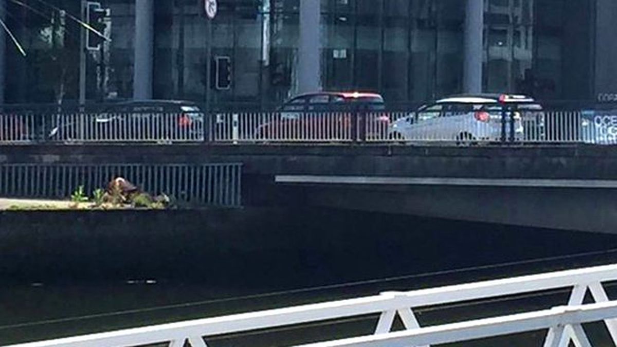 Ahlaksız Çift Şehrin Ortasında Cinsel İlişkiye Girdi