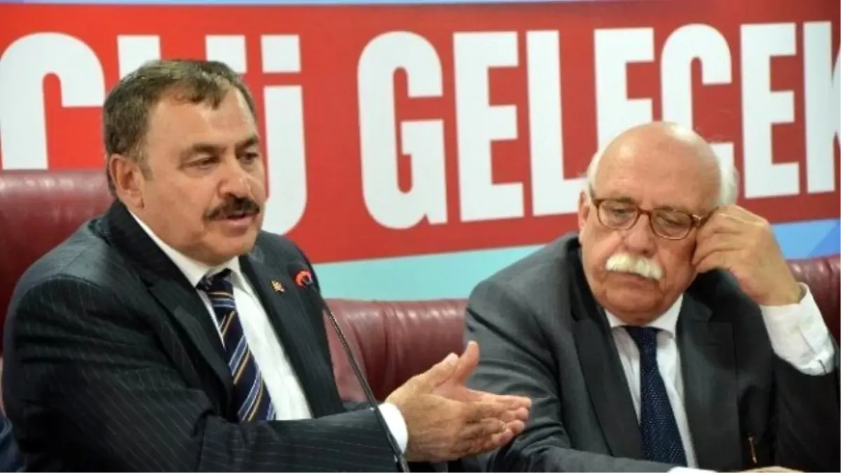 Bakan Eroğlu: "Almanya\'nın Kararı Yok Hükmündedir"