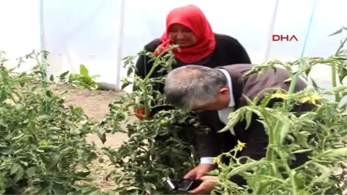 Burdur Çocuklarının Eğitimine Katkı İçin Sera Kurup Üretime Başladı