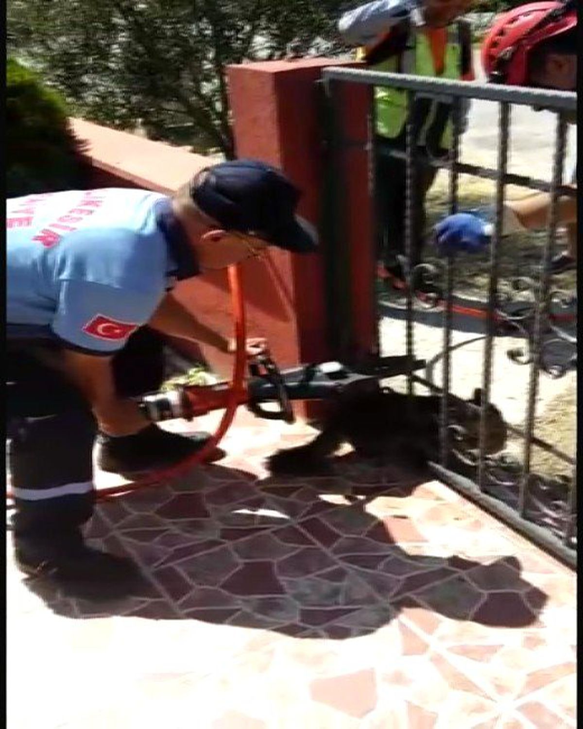 Kapıya Sıkışan Kediyi İtfaiye Kurtardı