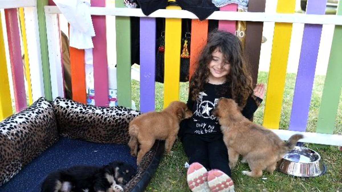 Muratpaşa\'da Sokak Hayvanları Sahiplendirme Festivali