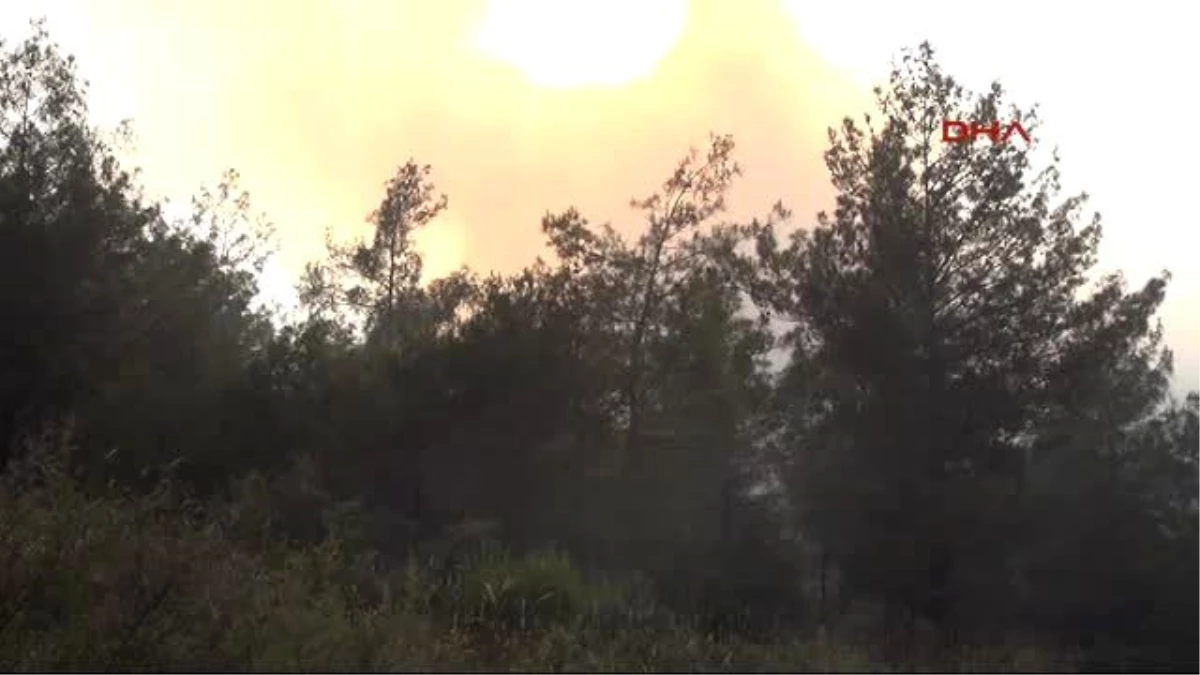 Hatay - Sabah Yangın Tatbikatı Yapıldı, Öğleden Sonra 25 Hektarlık Orman Yandı