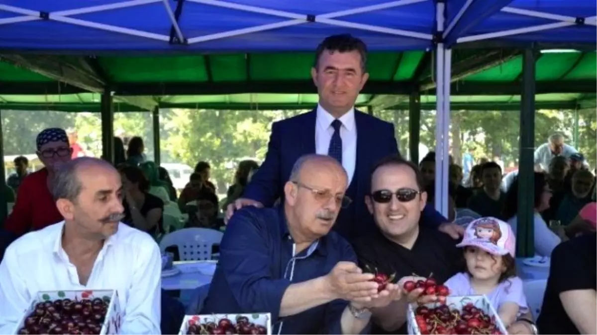 İznik Kirazı Görücüye Çıktı