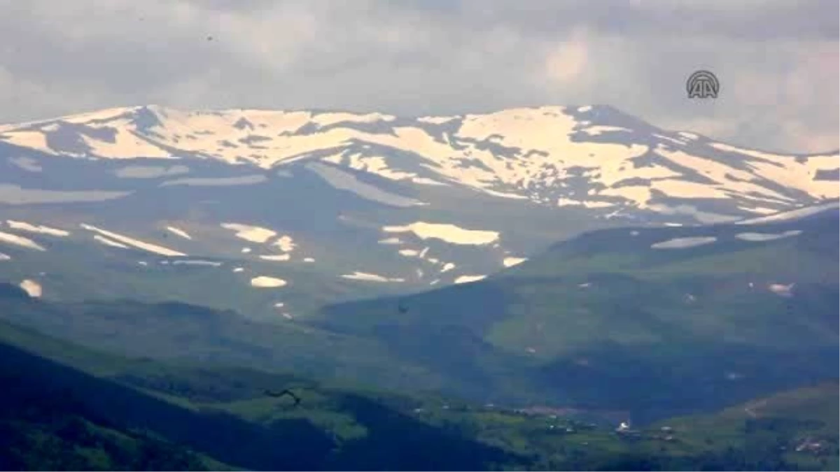 Karadeniz Yaylalarına Ulaşım Kolaylaşacak