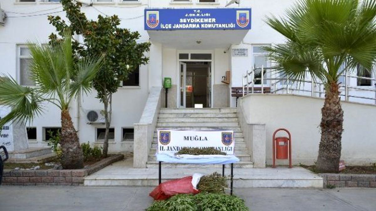 Seydikemer\'de Kenevir ve Kubar Operasyonu