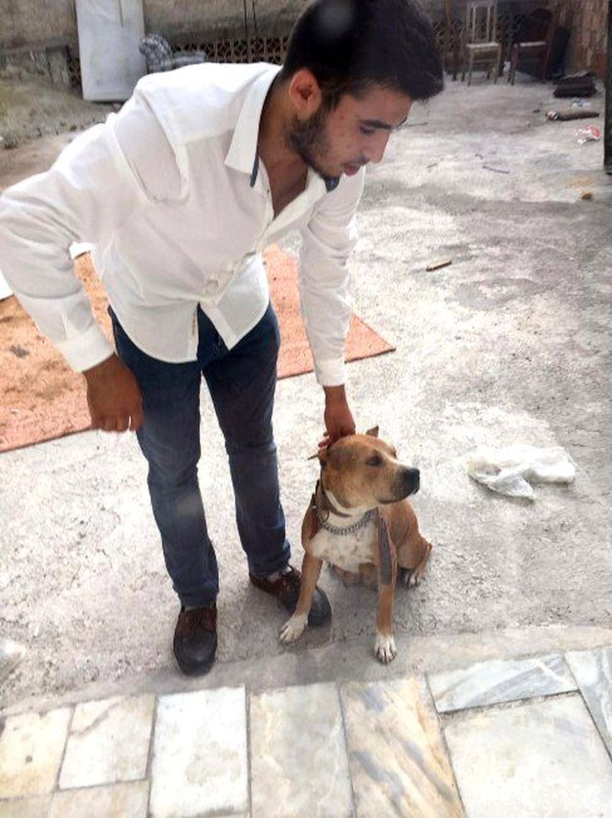 Adana\'da \'Pitbull\' Operasyonu