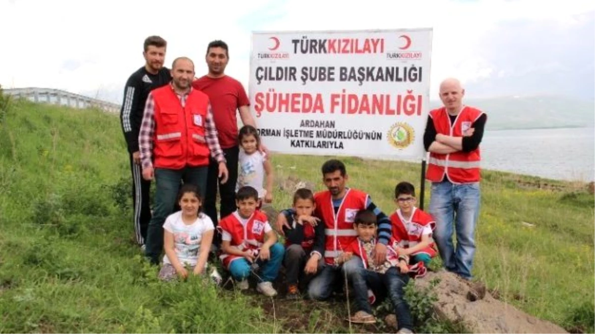 Çıldır Kızılay Şube Bakanlığından Şüheda Fidanlığı