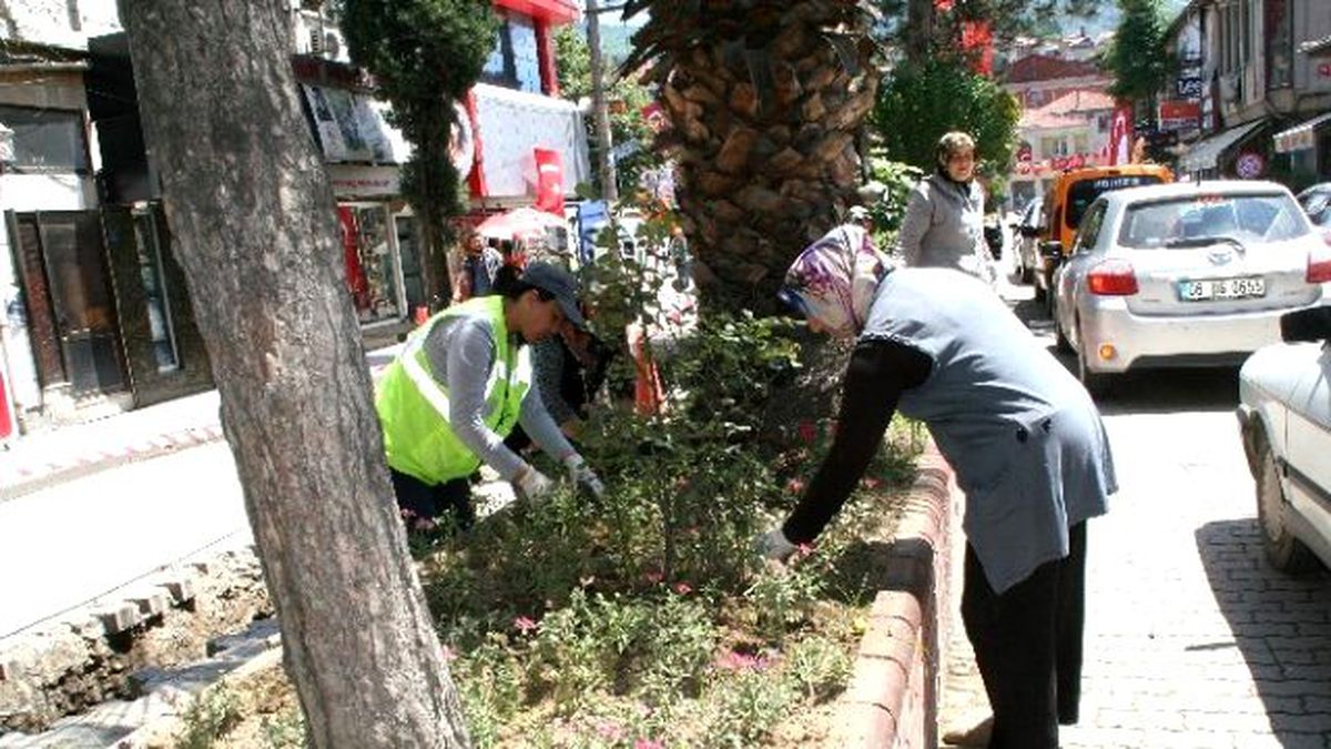 Devrek Belediyesinden Çiçeklendirme Çalışması