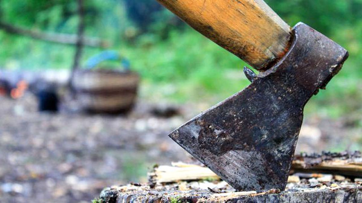 Erkekliğine Laf Eden Arkadaşının Cinsel Organını Baltayla Kesti