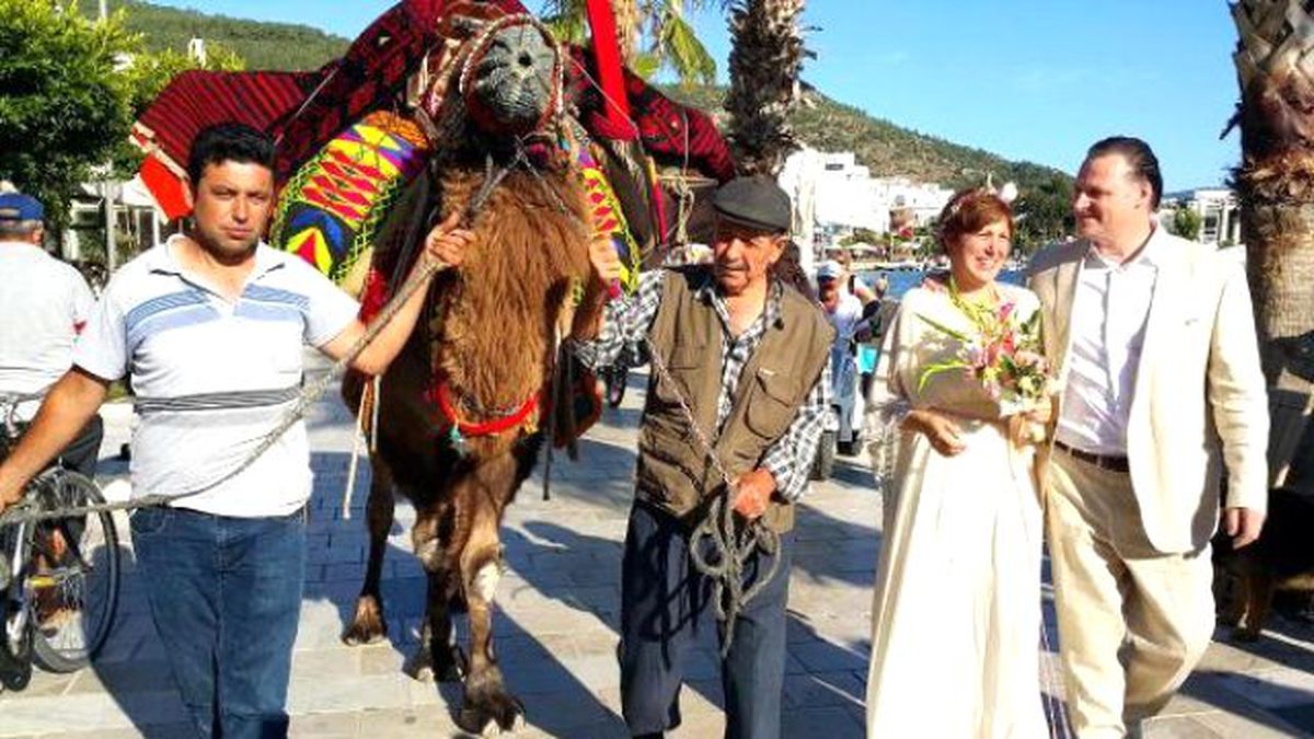İngiliz Damat, Ünlü Yapımcıya Deve ile Çeyiz Getirdi