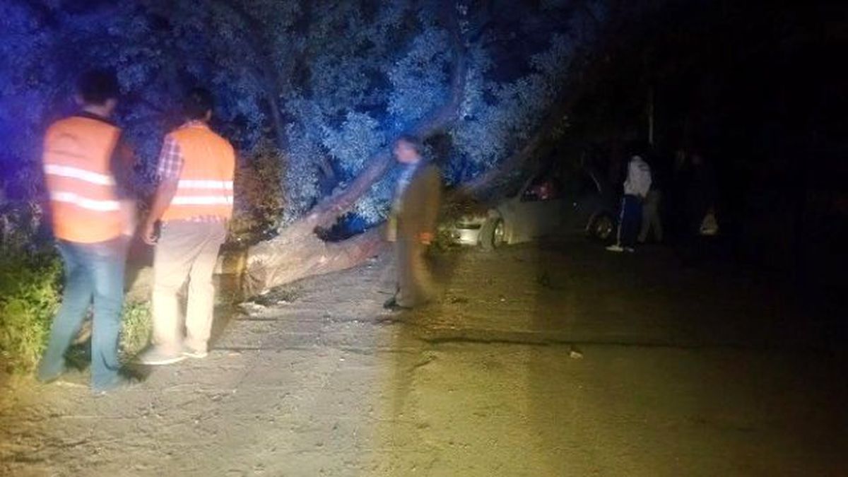 Kontrolden Çıkan Otomobil Ağacı Devirdi