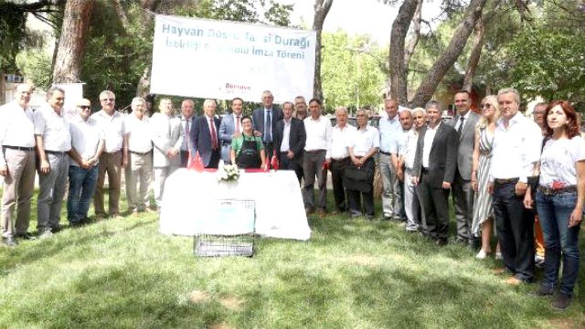 Taksicilerle Sokak Hayvanları Protokolü