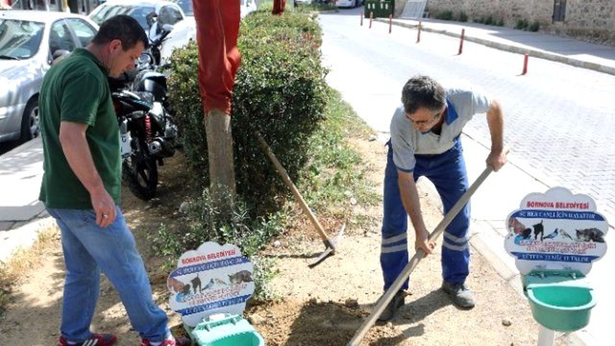 Türkiye\'ye Örnek, Hayvan Dostu Taksi Durakları