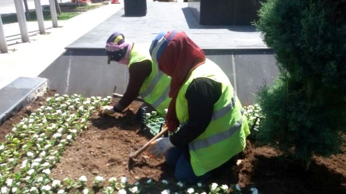 Aksarkay Belediyesi Milyonlarca Çiçeği Toprakla Buluşturdu