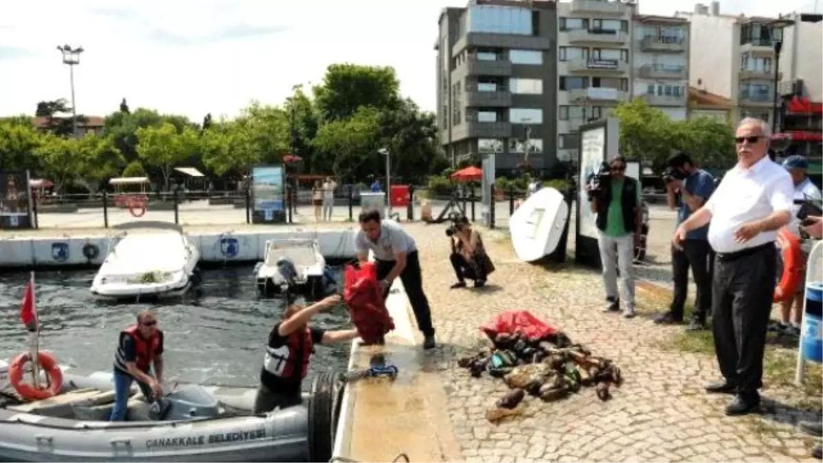 Çanakkale\'de Deniz Dibi Temizliği