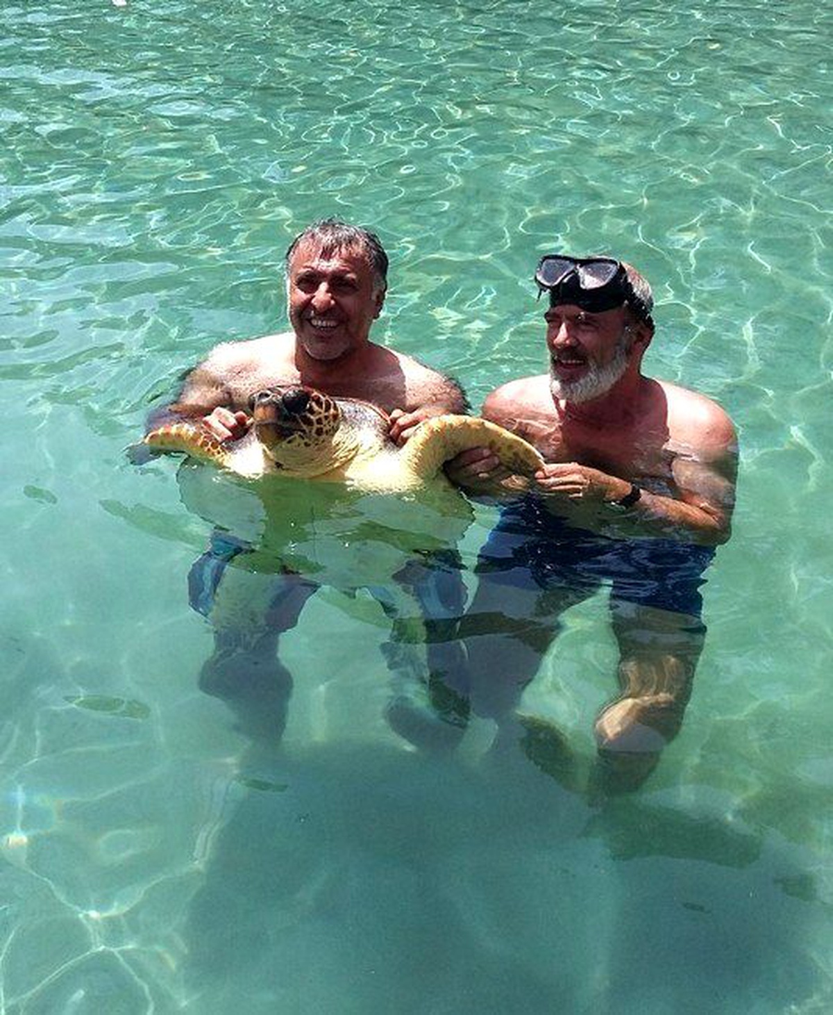 Caretta Caretta Kaplumbağasına Teknede Olta Operasyonu